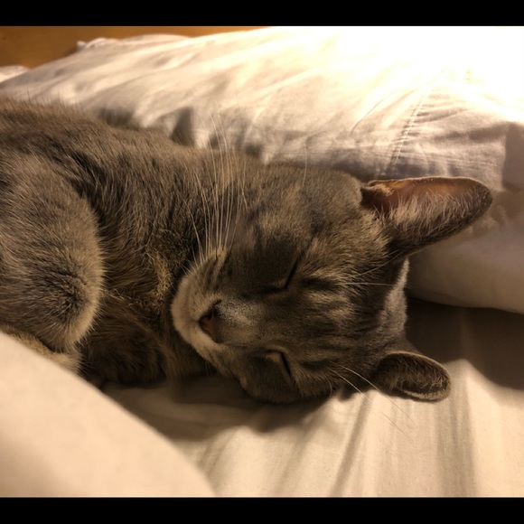 Meet your Posher, Jaclyn - Picture 1 of 1